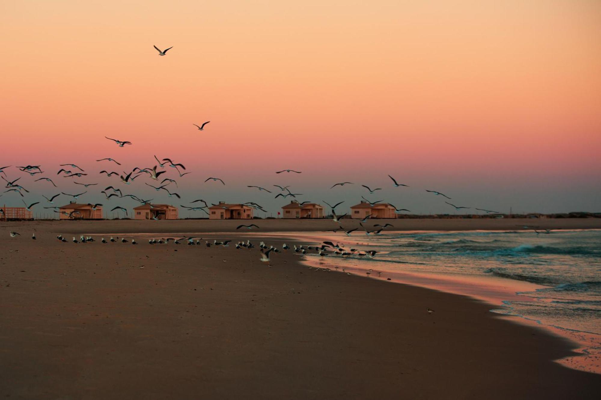 Ocean Vagabond Lassarga Hotel Dakhla Kültér fotó